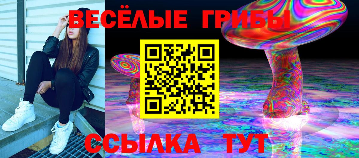 Псилоцибиновые грибы мицелий Тольятти