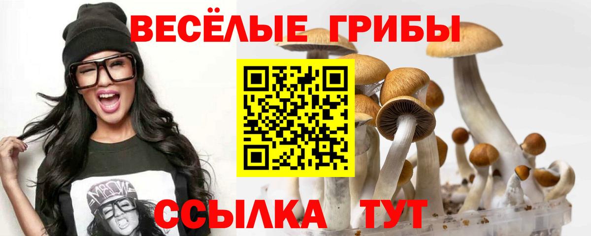 что такое   Галлюциногенные грибы Psilocybe  Псилоцибиновые грибы Magic Shrooms  Вход с VPN  Тольятти 